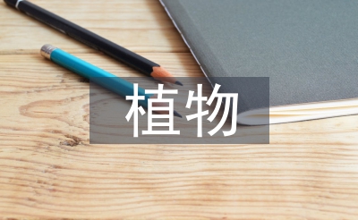植物保護(hù)的方式