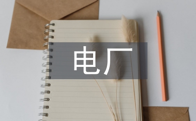 電廠試用期工作總結(jié)