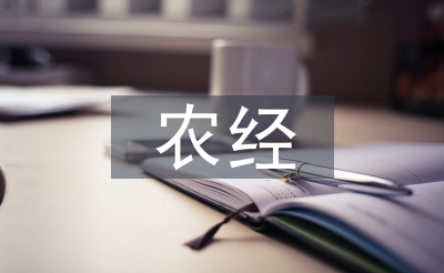 農(nóng)經(jīng)工作要點(diǎn)