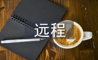 遠(yuǎn)程審計的思考